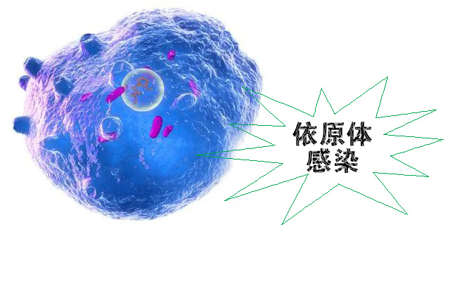 怎么不知不覺就感染了沙眼依原體呢？