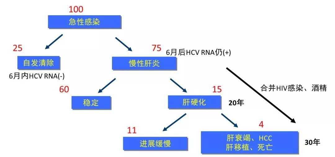 丙肝檢測的弱陽性究竟是不是感染了丙肝？